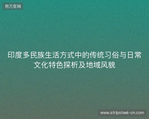 印度多民族生活方式中的传统习俗与日常文化特色探析及地域风貌