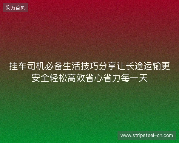 挂车司机必备生活技巧分享让长途运输更安全轻松高效省心省力每一天 挂车司机必备生活技巧分享让长途运输更安全轻松高效省心省力每一天